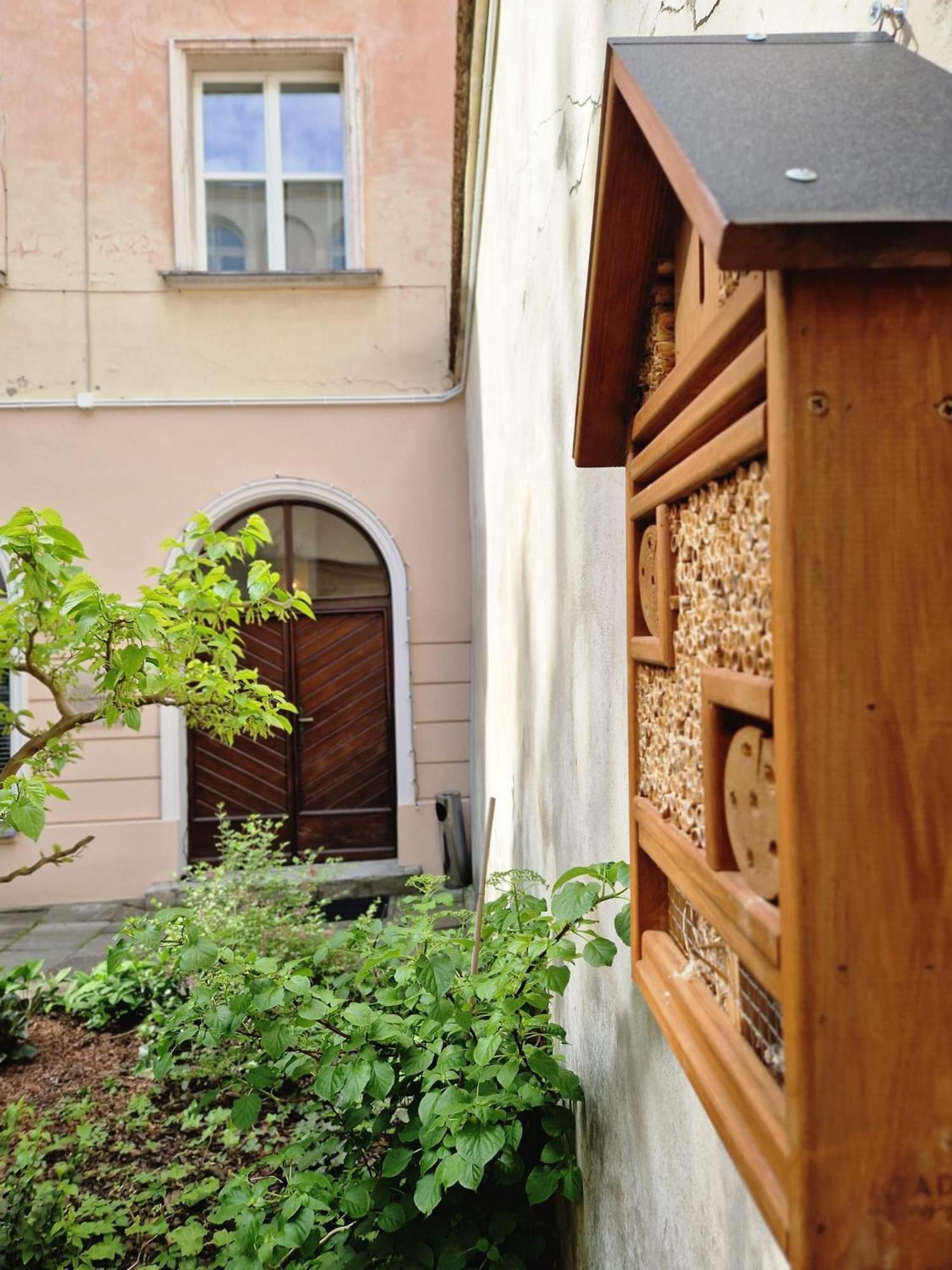 Brokilon House Apartman Krakkó Kültér fotó