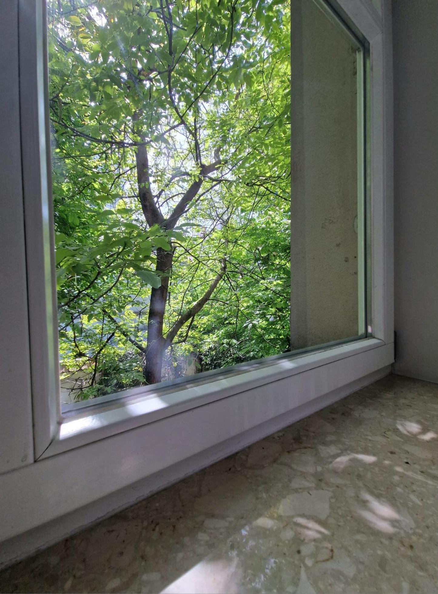 Brokilon House Apartman Krakkó Kültér fotó